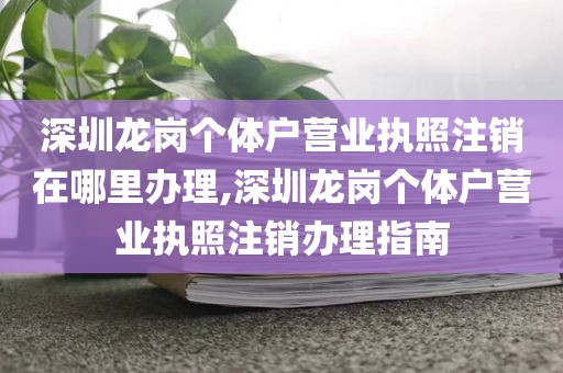 深圳龙岗个体户营业执照注销在哪里办理,深圳龙岗个体户营业执照注销办理指南