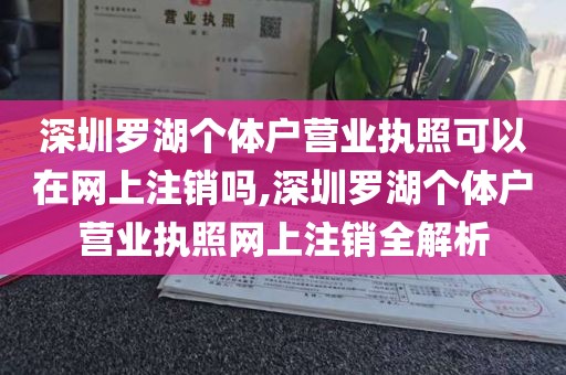深圳罗湖个体户营业执照可以在网上注销吗,深圳罗湖个体户营业执照网上注销全解析