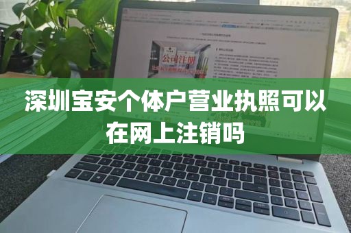 深圳宝安个体户营业执照可以在网上注销吗