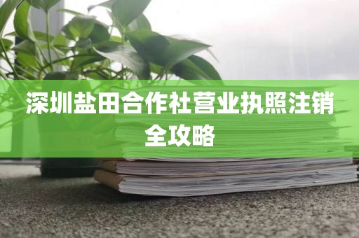 深圳盐田合作社营业执照注销全攻略