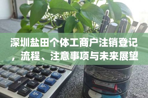 深圳盐田个体工商户注销登记，流程、注意事项与未来展望