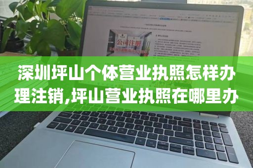 深圳坪山个体营业执照怎样办理注销,坪山营业执照在哪里办