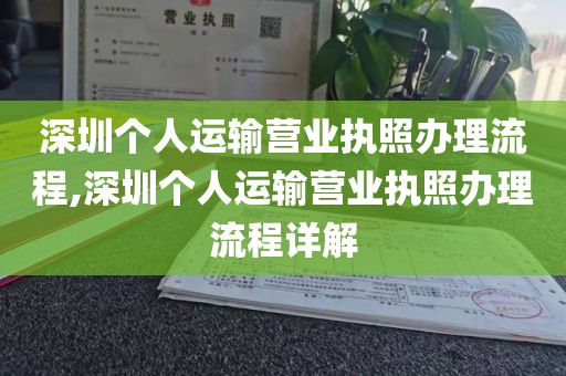 深圳个人运输营业执照办理流程,深圳个人运输营业执照办理流程详解