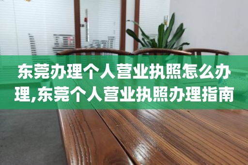 东莞办理个人营业执照怎么办理,东莞个人营业执照办理指南