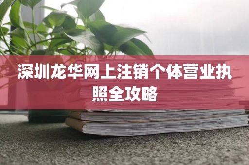 深圳龙华网上注销个体营业执照全攻略