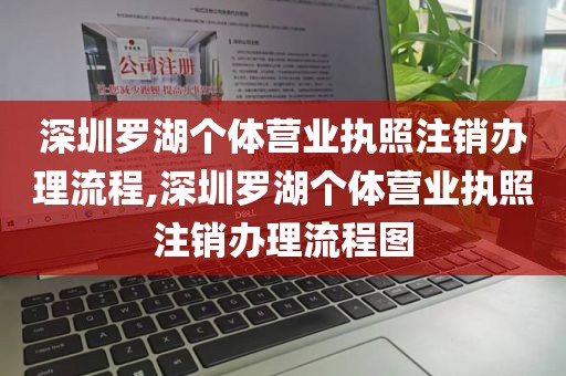 深圳罗湖个体营业执照注销办理流程,深圳罗湖个体营业执照注销办理流程图