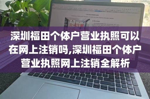 深圳福田个体户营业执照可以在网上注销吗,深圳福田个体户营业执照网上注销全解析