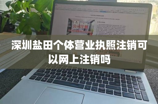 深圳盐田个体营业执照注销可以网上注销吗