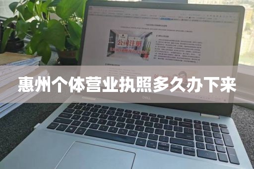 惠州个体营业执照多久办下来