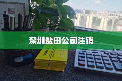深圳盐田公司注销