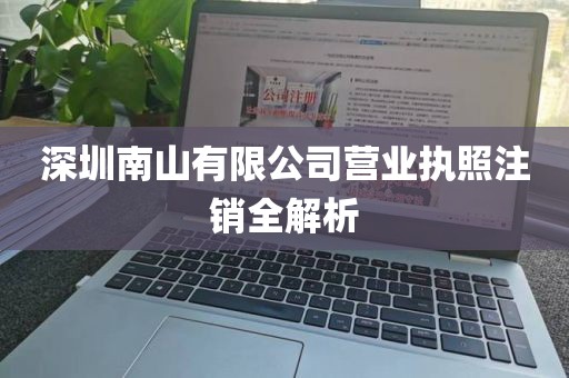 深圳南山有限公司营业执照注销全解析