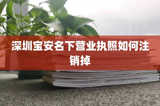 深圳宝安名下营业执照如何注销掉