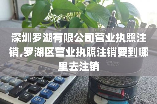 深圳罗湖有限公司营业执照注销,罗湖区营业执照注销要到哪里去注销