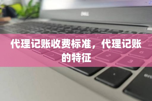 代理记账收费标准，代理记账的特征