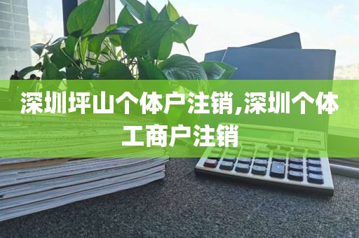 深圳坪山个体户注销,深圳个体工商户注销