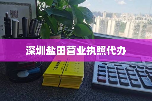 深圳盐田营业执照代办
