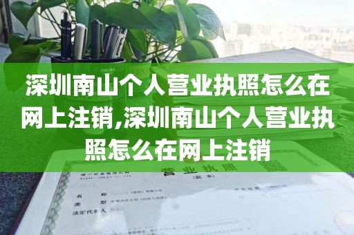 深圳南山个人营业执照怎么在网上注销,深圳南山个人营业执照怎么在网上注销