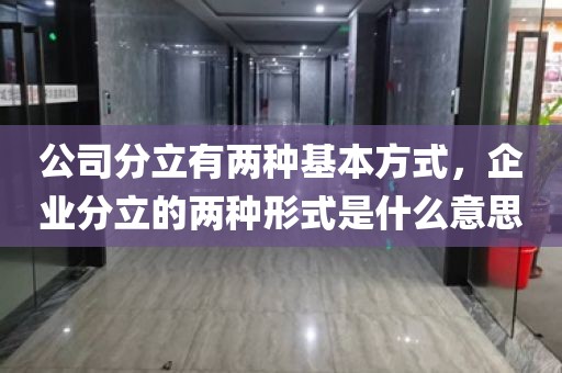 公司分立有两种基本方式，企业分立的两种形式是什么意思