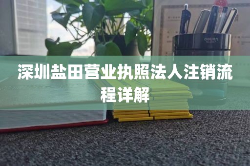 深圳盐田营业执照法人注销流程详解