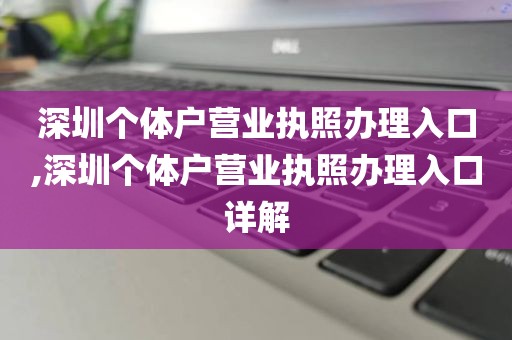 深圳个体户营业执照办理入口,深圳个体户营业执照办理入口详解