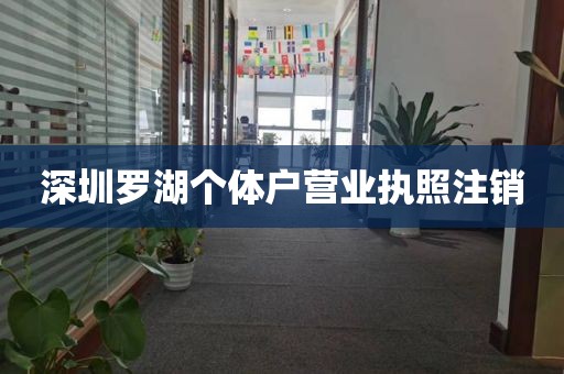 深圳罗湖个体户营业执照注销