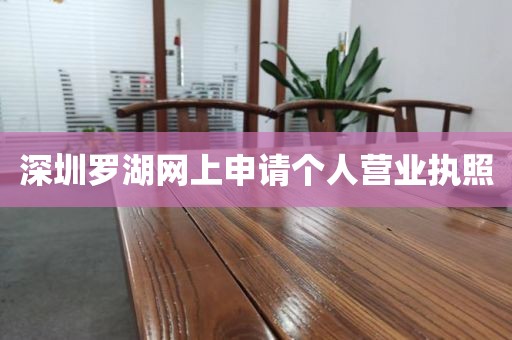 深圳罗湖网上申请个人营业执照