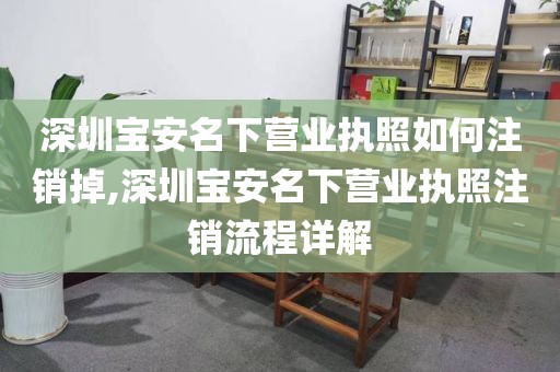 深圳宝安名下营业执照如何注销掉,深圳宝安名下营业执照注销流程详解