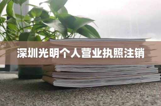 深圳光明个人营业执照注销