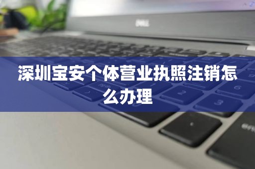 深圳宝安个体营业执照注销怎么办理