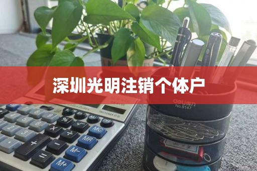 深圳光明注销个体户