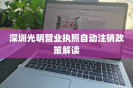 深圳光明营业执照自动注销政策解读