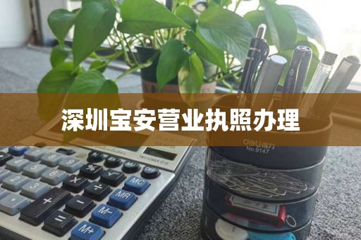 深圳宝安营业执照办理