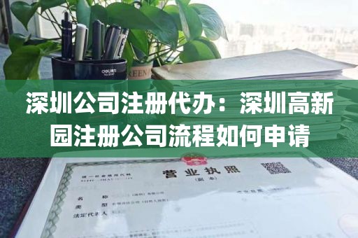 深圳公司注册代办:深圳高新园注册公司流程如何申请
