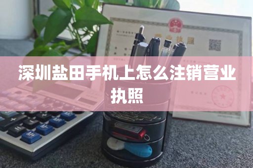 深圳盐田手机上怎么注销营业执照