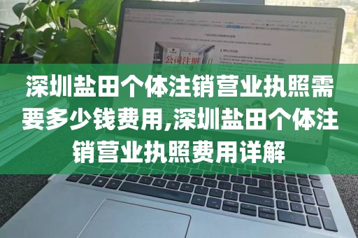 深圳盐田个体注销营业执照需要多少钱费用,深圳盐田个体注销营业执照费用详解