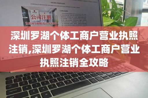 深圳罗湖个体工商户营业执照注销,深圳罗湖个体工商户营业执照注销全攻略