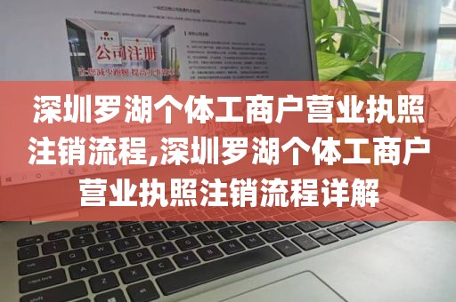 深圳罗湖个体工商户营业执照注销流程,深圳罗湖个体工商户营业执照注销流程详解