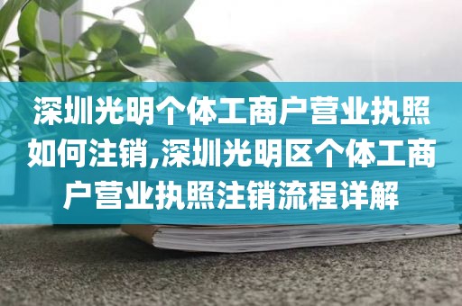 深圳光明个体工商户营业执照如何注销,深圳光明区个体工商户营业执照注销流程详解