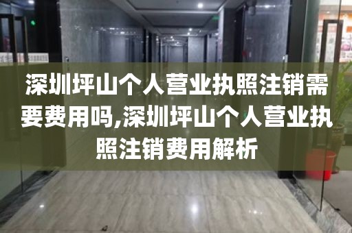 深圳坪山个人营业执照注销需要费用吗,深圳坪山个人营业执照注销费用解析