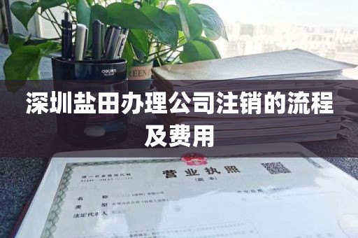 深圳盐田办理公司注销的流程及费用