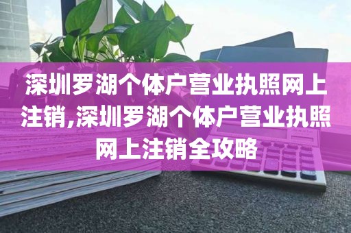 深圳罗湖个体户营业执照网上注销,深圳罗湖个体户营业执照网上注销全攻略