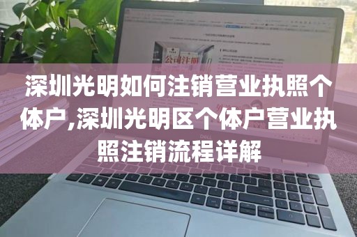 深圳光明如何注销营业执照个体户,深圳光明区个体户营业执照注销流程详解
