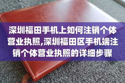 深圳福田手机上如何注销个体营业执照,深圳福田区手机端注销个体营业执照的详细步骤