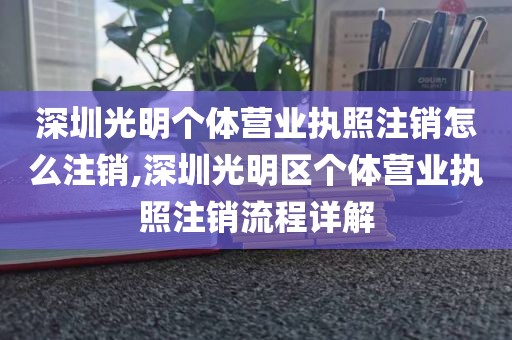 深圳光明个体营业执照注销怎么注销,深圳光明区个体营业执照注销流程详解