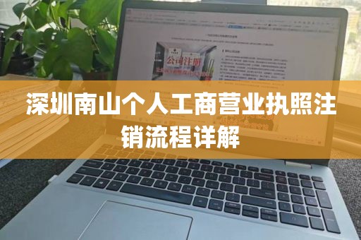 深圳南山个人工商营业执照注销流程详解