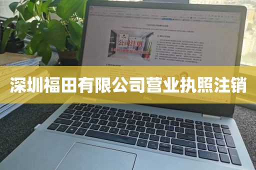 深圳福田有限公司营业执照注销