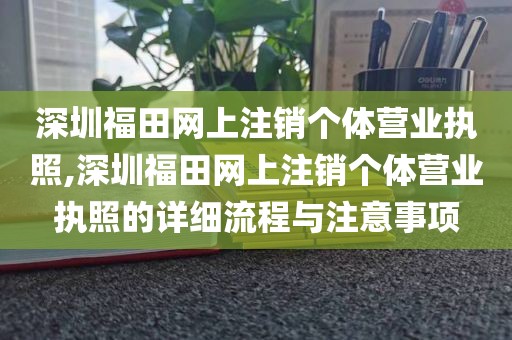 深圳福田网上注销个体营业执照,深圳福田网上注销个体营业执照的详细流程与注意事项