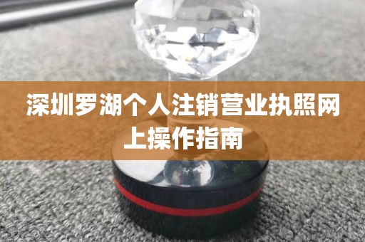 深圳罗湖个人注销营业执照网上操作指南