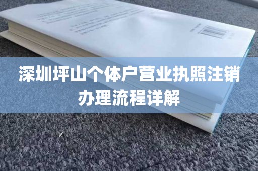 深圳坪山个体户营业执照注销办理流程详解