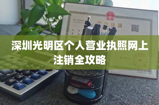 深圳光明区个人营业执照网上注销全攻略